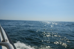 IMG_20180630_163148502